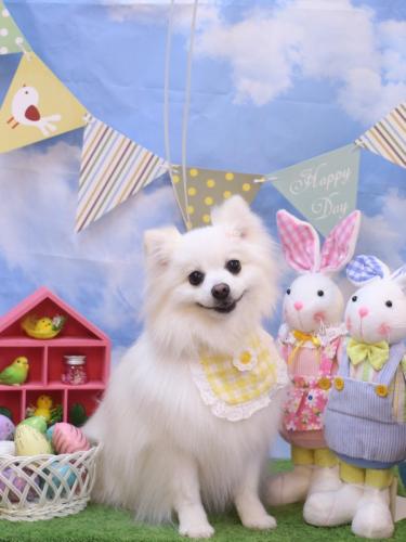 20240305ゆずちゃん